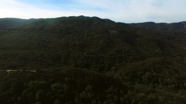 Panorama aerial shot of forest area and green field — Stock Video