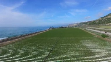 Pasifik Okyanusu ve sulama sistemi yakın Mısır alanının güzel manzara
