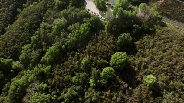 Birds eye skott av skog med motorvägen i närheten — Stockvideo