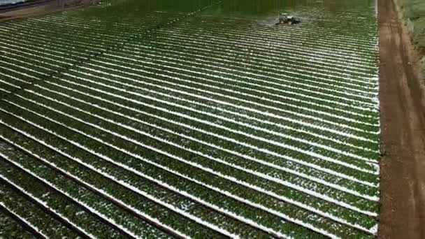 Drone vlucht over plantage veld met trekker het irrigatie in de buurt van de snelweg en de kust van de Stille Oceaan — Stockvideo