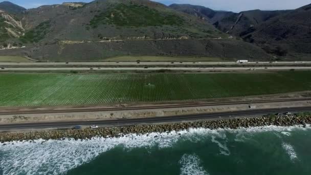 Aerial shot of plantation field near Pacific coast near highway — Stock Video
