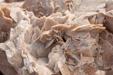 Sahra Çölü gülü (kristal) kum dokusu arkaplanı.