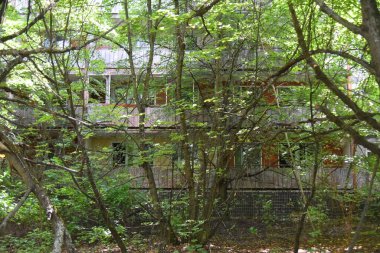 Çernobil Yasaklama Bölgesi 'nde terk edilmiş Pripyat şehri. 2019 yazı..