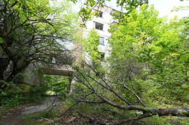 Çernobil Yasaklama Bölgesi 'nde terk edilmiş Pripyat şehri. 2019 yazı..