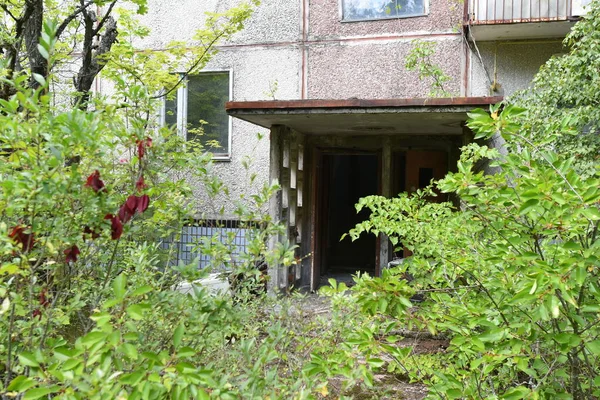 Çernobil Yasaklama Bölgesi 'nde terk edilmiş Pripyat şehri. 2019 yazı..