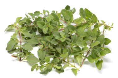 Beyaz arka plan üzerinde ham kekik ot