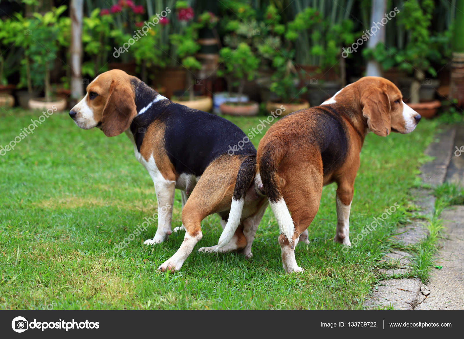 Интернеттегі қыздармен порно веб-камералар