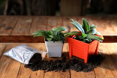  Turuncu pot ve toprak fabrikaları