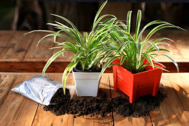  Turuncu pot ve toprak fabrikaları