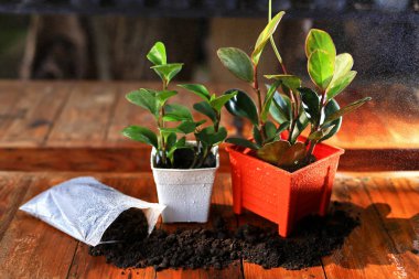  Turuncu pot ve toprak fabrikaları