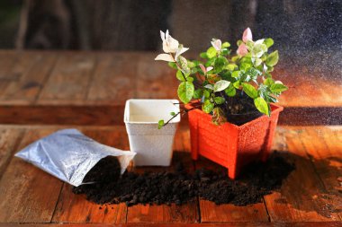  Turuncu pot ve toprak fabrikaları