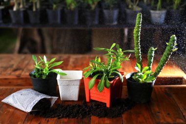  Turuncu pot ve toprak fabrikaları