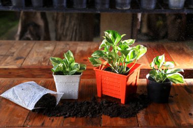  Turuncu pot ve toprak fabrikaları