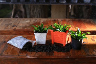  Turuncu pot ve toprak fabrikaları