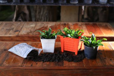  Turuncu pot ve toprak fabrikaları