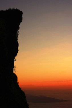 Yağmur ormanlarında sis