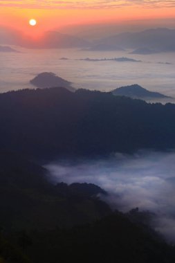 Yağmur ormanlarında sis