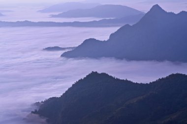 Yağmur ormanlarında sis