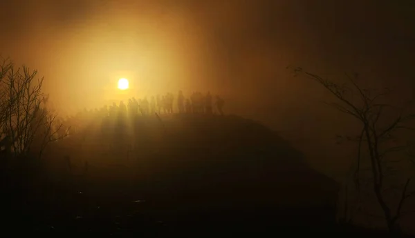 Туман Дождевом Лесу — стоковое фото