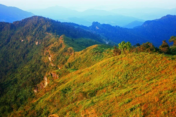 Yağmur ormanlarında sis