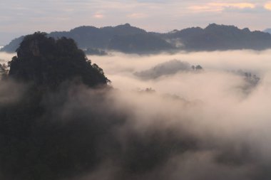 Yağmur ormanlarında sis