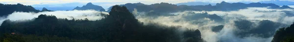 Mlha Deštném Pralese — Stock fotografie