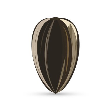 Beyaz arkaplanda ayçiçeği tohumu simgesi. Gıda simgesi