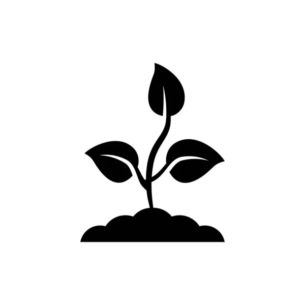 Geldbaum Symbol Vektor Auf Weißem Hintergrund — Stockvektor