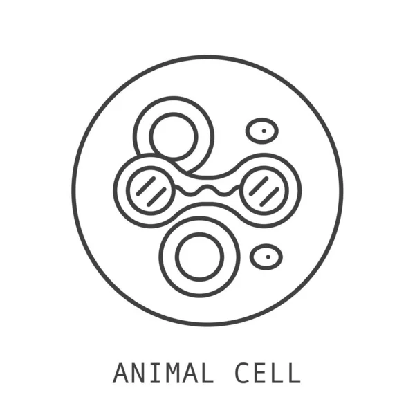 Vector Animal Cell icon. Editable stroke — Stock vektor