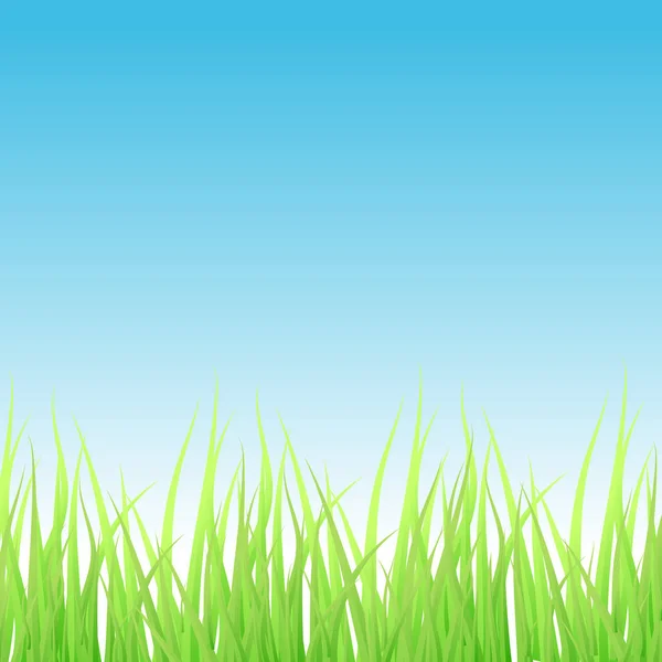 Paesaggio con erba e cielo — Vettoriale Stock