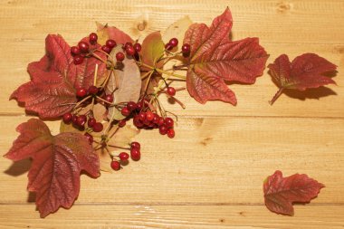 yaprakları ve ahşap bir masada Viburnum çilek.