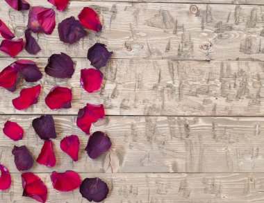 Rustik antika arka plan üzerinde güzel gül yaprakları. Eski ahşap panoları.