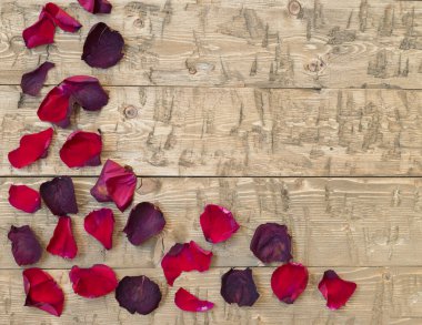 Rustik antika arka plan üzerinde güzel gül yaprakları. Eski ahşap panoları.