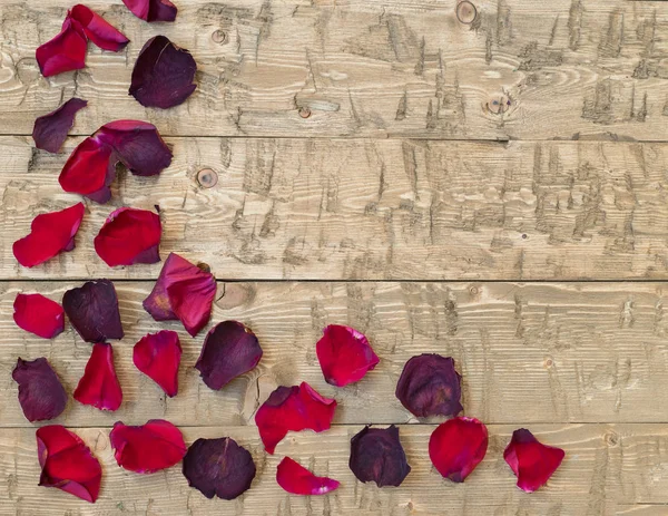 Rustik antika arka plan üzerinde güzel gül yaprakları. Eski ahşap panoları.