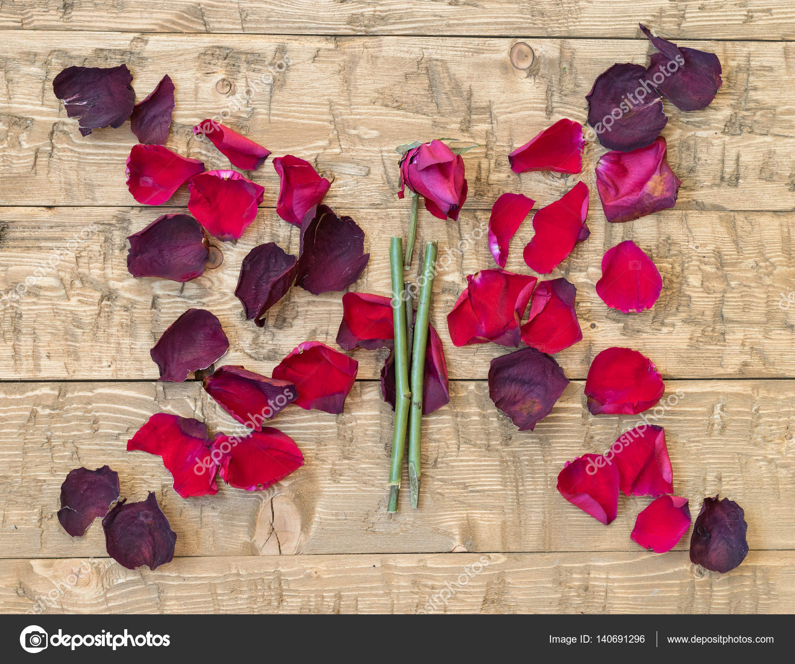 Secos petalos rosa de uso de