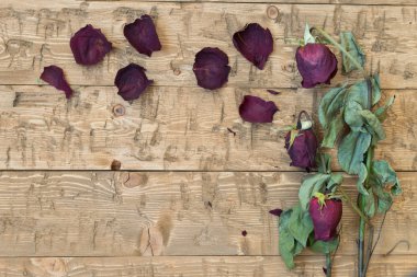 Rustik bir masada güzel güller Solana.