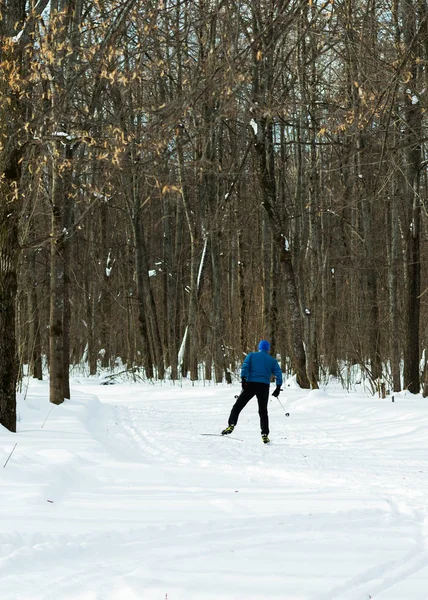Mannen på den crosscountry skidor i vinter skog. — Stockfoto