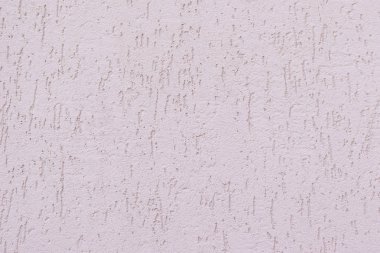 Duvar arka plan dekoratif kaplama kabukları böcek ile.