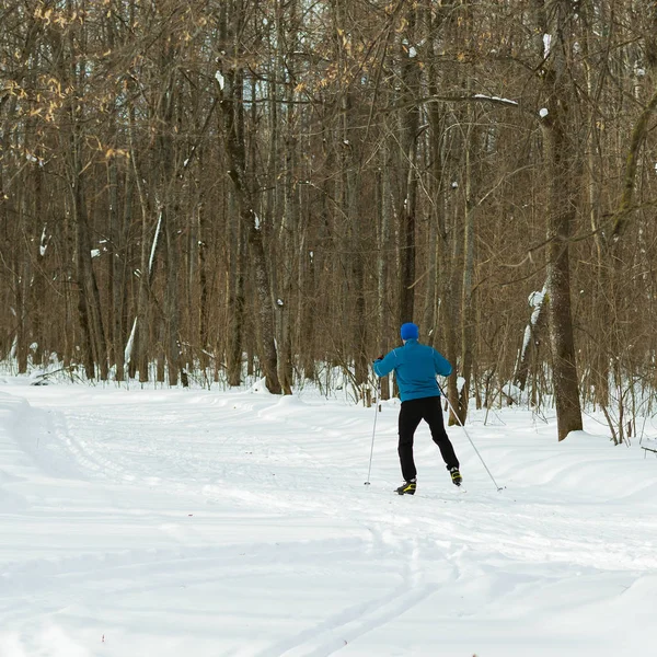 Vackra vinter skog och skidåkare i blå kostym. — Stockfoto
