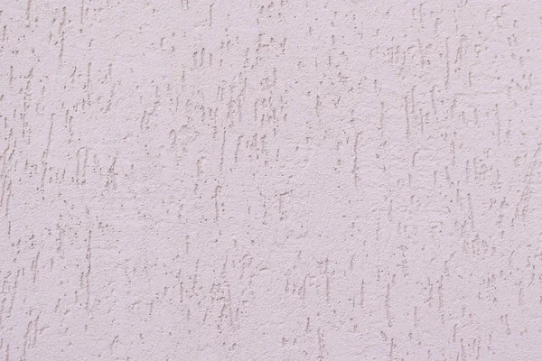 Wall background with decorative coating bark beetle.