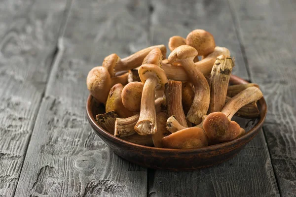 Ahşap bir masada sonbahar ormanı balçığı ile dolu bir kil kasesi. Masanın üzerinde orman mantarları.