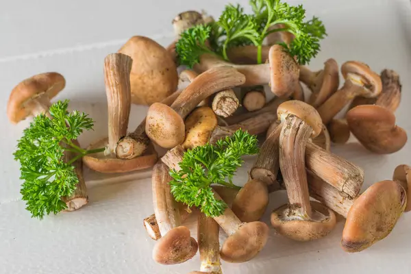 Veel bos herfst paddenstoelen met peterselie bladeren op een houten tafel. — Stockfoto