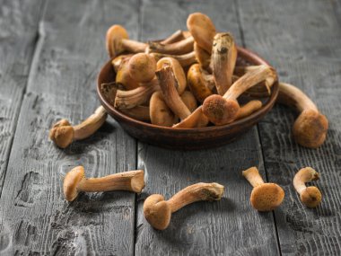 Masaya dağılmış toprak kase ve orman mantarları. Masanın üzerinde orman mantarları.