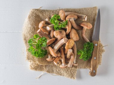 Yaban mantarlı bir çuval bezi, maydanoz ve beyaz bir masada bıçak. Masanın üzerinde orman mantarları var. Düz yatıyordu.