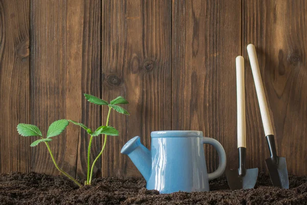 A tool for cultivating the land, a watering can and a plant near a wooden fence.