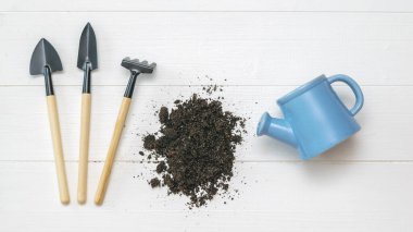 İki kürek, bir su kovası, bir tırmık ve ahşap bir arka planda biraz toprak..