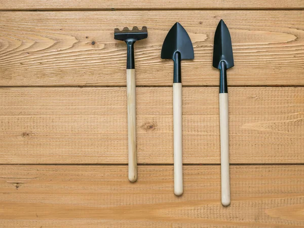 Un conjunto de tres elementos para cultivar tierra sobre un fondo de madera . — Foto de Stock