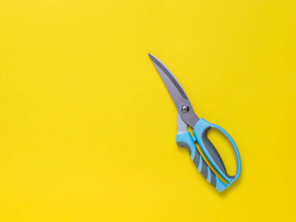 Kitchen scissors on a yellow background. Flat lay.