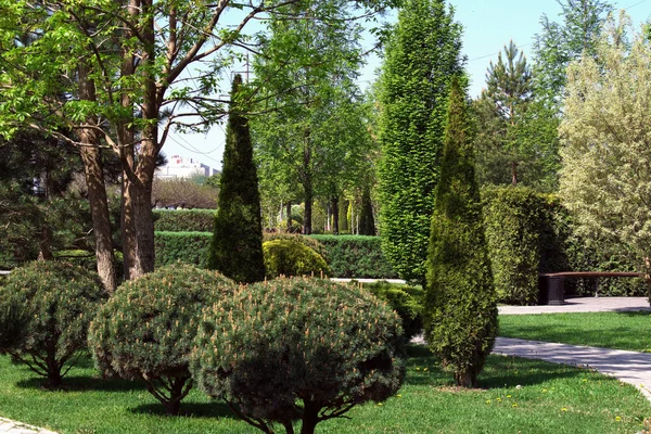 Bela Paisagem Parque Cidade Cidade Krasnodar Abril 2019 — Fotografia de Stock