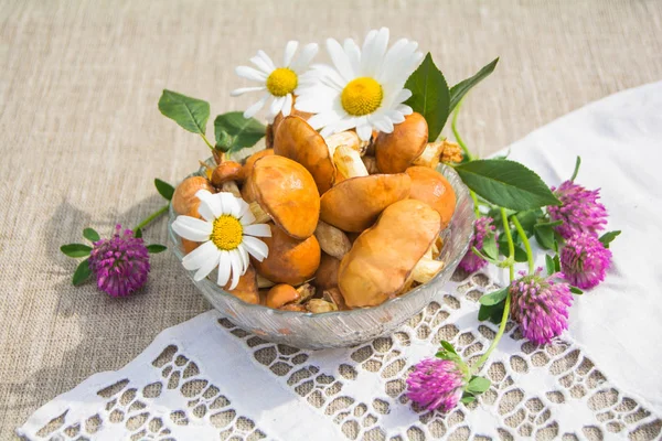 Mantar bir Ajur peçeteye yağlı